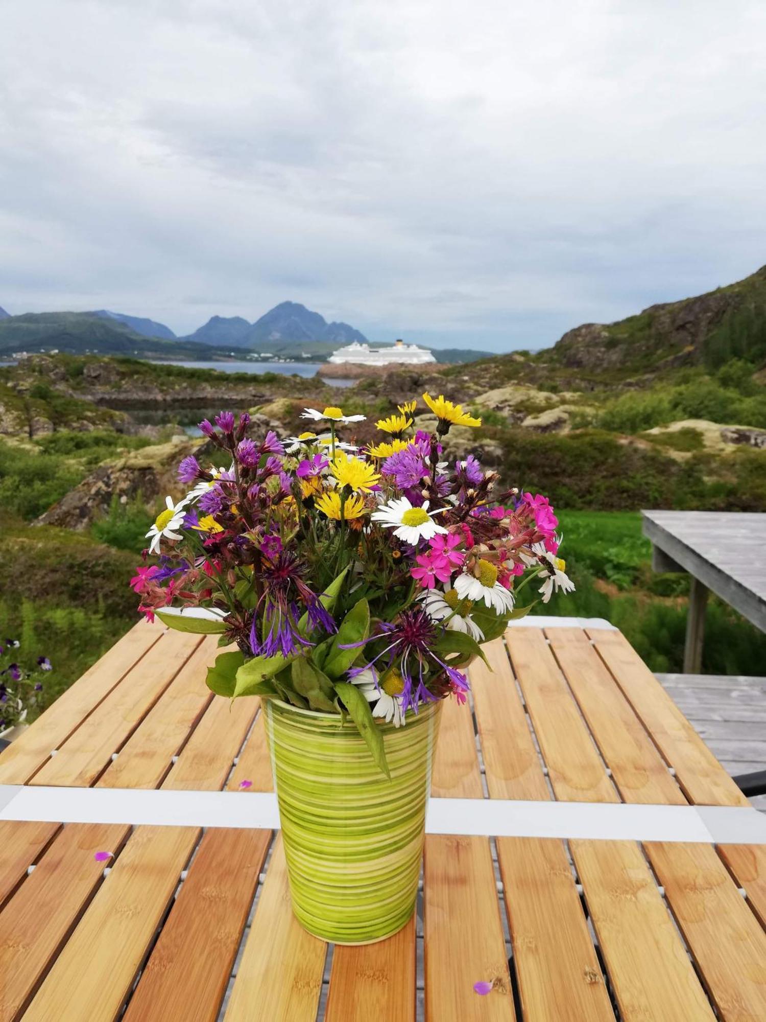 Unique private cabin in Lofoten Leknes Esterno foto