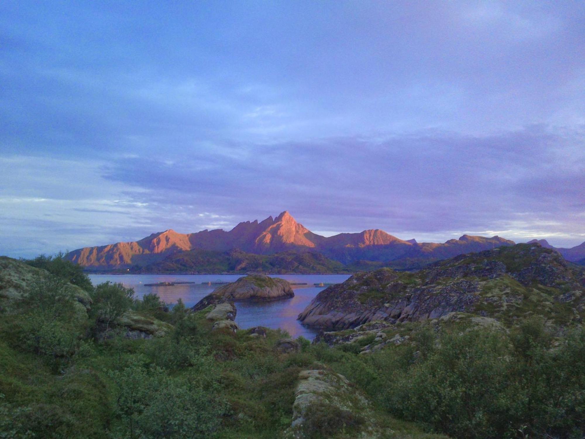 Unique private cabin in Lofoten Leknes Esterno foto