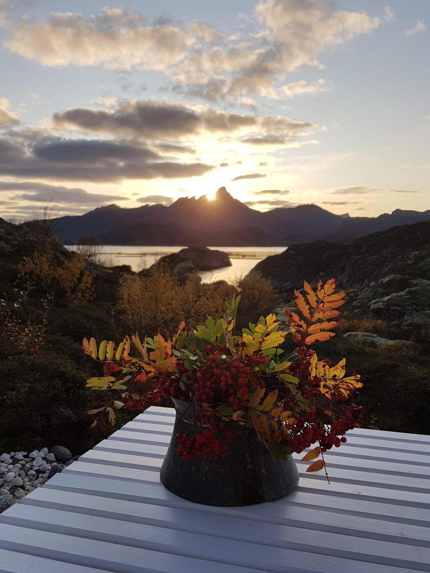 Unique private cabin in Lofoten Leknes Esterno foto