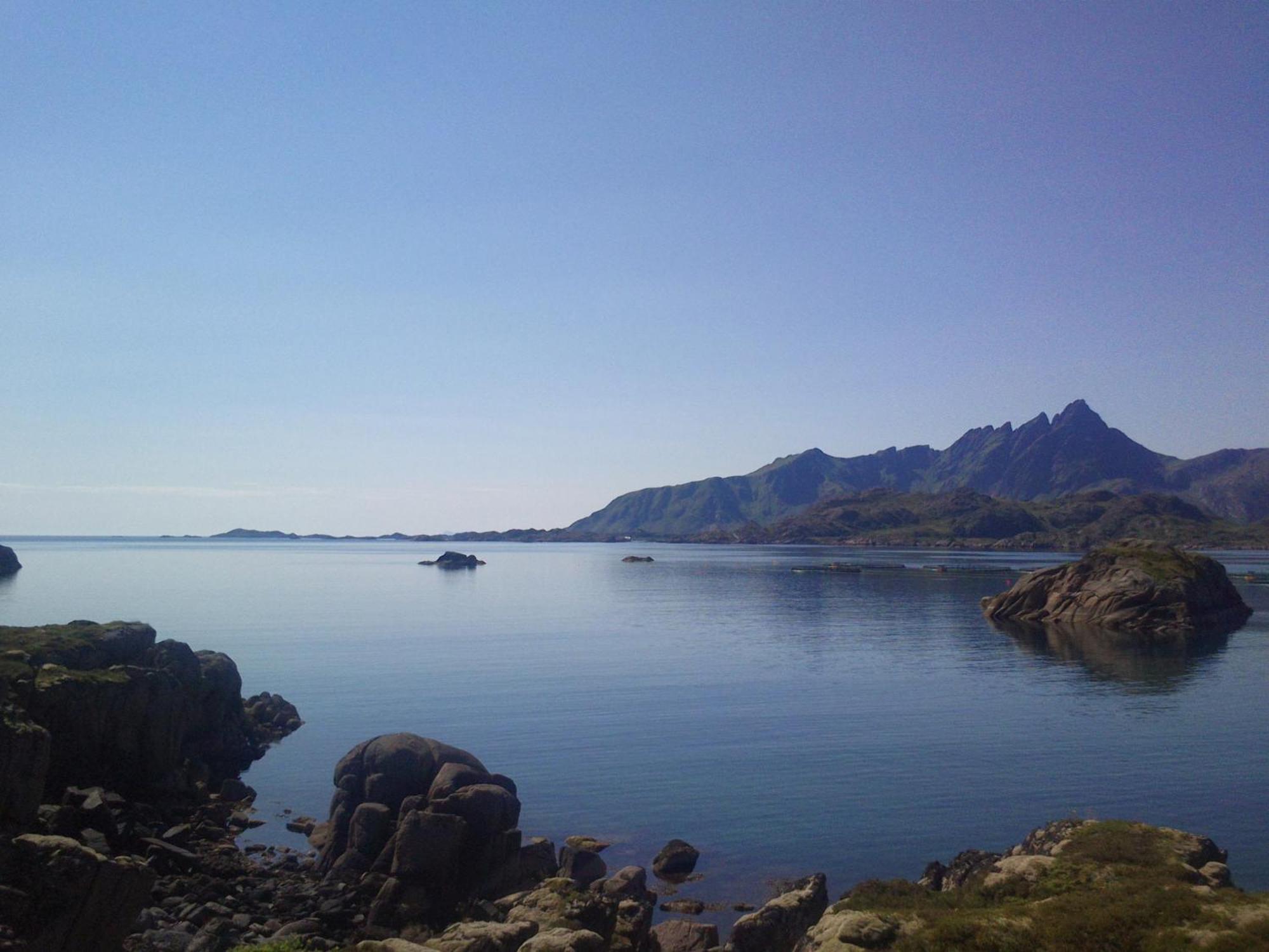 Unique private cabin in Lofoten Leknes Esterno foto